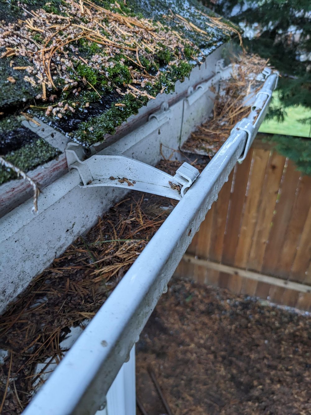 Pine needles, moss, and debris packed into a rain gutter.